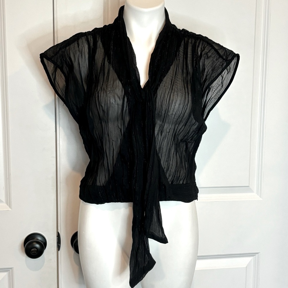 Zara Black Sheer Metallic Crinkle Wrap Sleeveless Tie Neck Blouse M